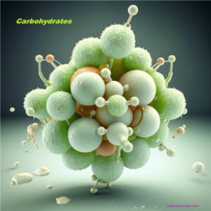 what are carbohydrates